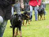 Lopen