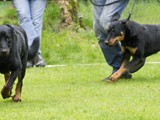 lopen